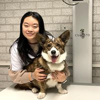 Jinli Huybers - Paraveterinair